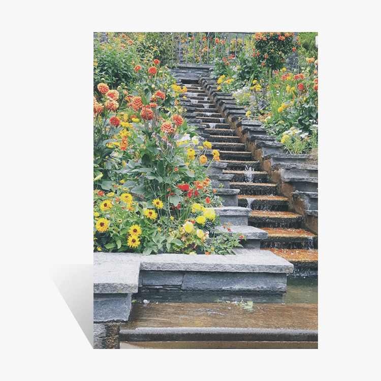 Kalenderrückwand „Blumentreppe Insel Mainau“