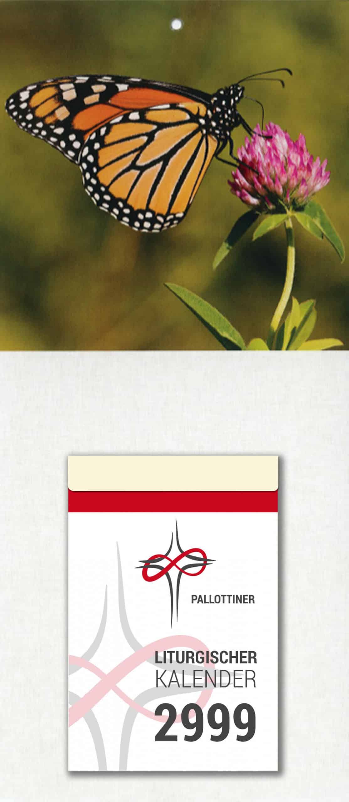Pallotti Verlag Monarchfalter Danaus Plexippus Kalender 1280x2944