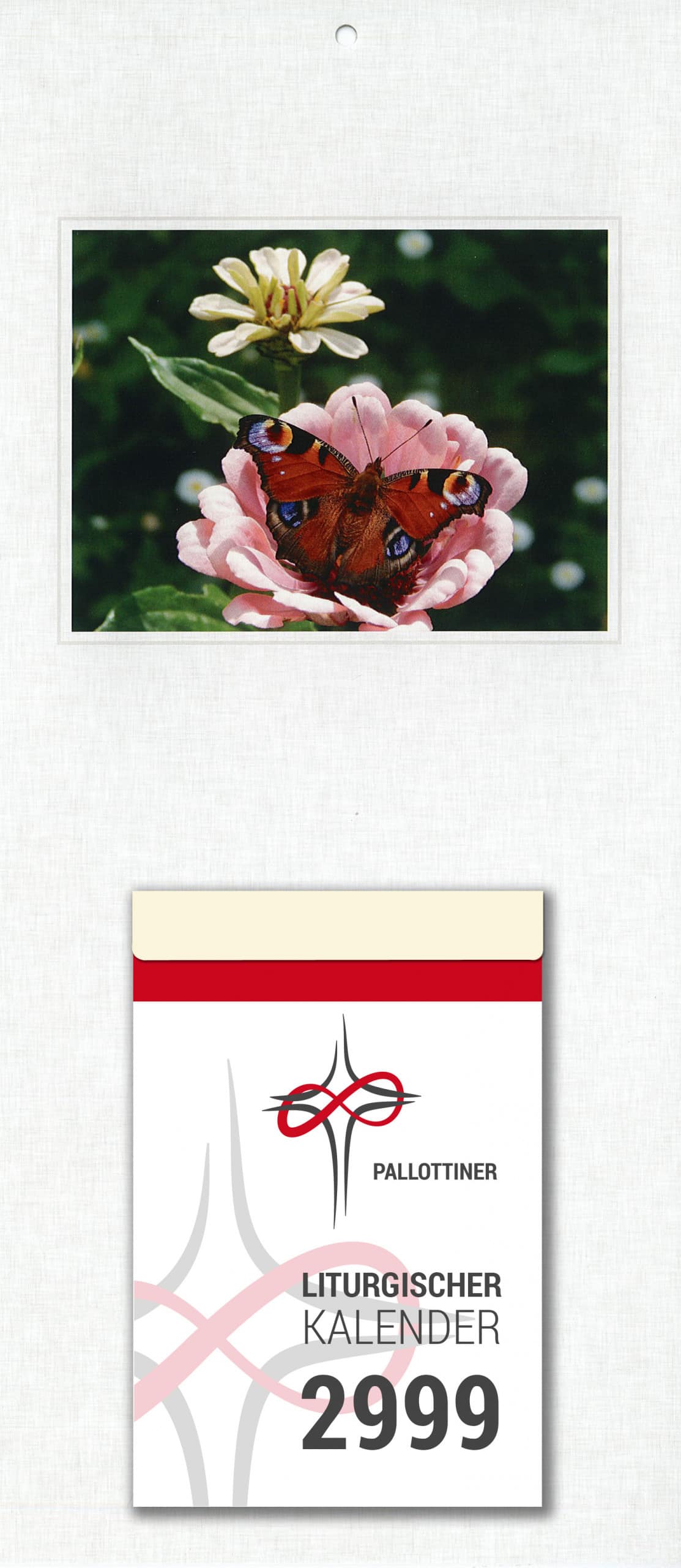 Kalender Rueckwand Scan 1303 Tagpfauenauge 1559x3457px